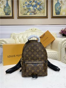Louis Vuitton Palm Springs PM Backpack Louis Vuitton Palm Springs PM Backpack