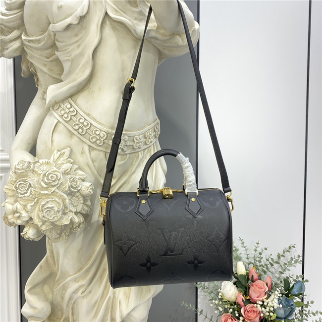 Louis Vuitton Speedy Bandouliere 25 (Varied Colors) Louis Vuitton Speedy Bandouliere 25 (Varied Colors)