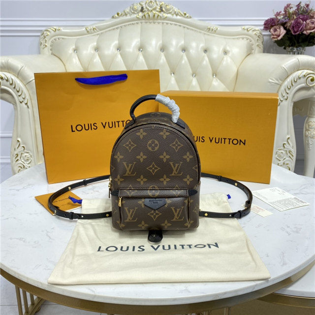 Louis Vuitton Palm Springs Mini Louis Vuitton Palm Springs Mini