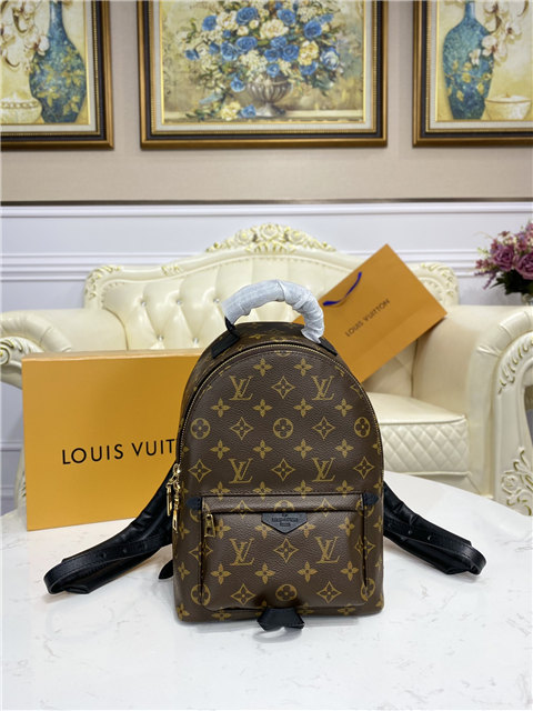Louis Vuitton Palm Springs PM Backpack Louis Vuitton Palm Springs PM Backpack